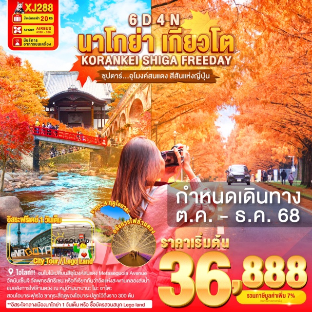 นาโกย่า เกียวโต กิฟุ แหล่งชมใบไม้เปลี่ยนสีที่มีชื่อเสียง จังหวัดชิงะ 
อุโมงค์สนแดง Metasequoia Avenue (ขึ้นกับภูมิอากาศ)
สัมผัสวัฒนธรรมของเมืองอุจิ แหล่งปลูก 'ชาเขียวอุจิ' ที่ดีที่สุดในญี่ปุ่น
วัดนันเซ็นจิ วัดพุทธลัทธิเซน หรือที่เรียกกันว่าวัดแห่งสะพานคลองส่งน้ำ 
ไฮไลท์!! อลังการไฟล้านดวง ณ หมูบ้านนาบานะ โนะ ซาโตะ
ชมใบไม้เปลี่ยนสีที่สวยที่สุดในภูมิภาค ณ หุบเขาโครังเค (ขึ้นกับภูมิอากาศ)
สวนโอบาระฟุเรไอ ซากุระสี่ฤดูของโอบาระปลูกไว้ถึงราว 300 ต้น
สามารถชมดอกซากุระที่สวยงามได้พร้อมกับใบไม้ที่เปลี่ยนสี (ขึ้นกับภูมิอากาศ)
**อิสระใจกลางเมืองนาโกย่า 1 วันเต็ม หรือ ซื้อบัตรสวนสนุก Lego land**
พร้อมเช็คอิน ย่านคาวาระมาจิ จุดศูนย์กลางแหล่งรวมความบันเทิงมากมาย
#มีวันอิสระ