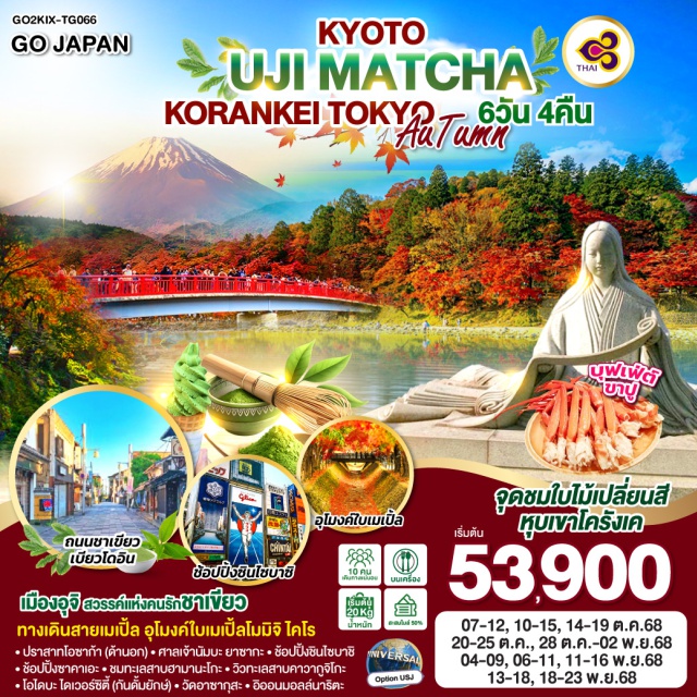 โอซาก้า เกียวโต นาโงย่า โตโยต้า ชิสุโอกะ เมืองอุจิ สวรรค์แห่งคนรักชาเขียว ทางเดินสายเมเปิ้ล อุโมงค์ใบเมเปิ้ลโมมิจิ โคโร
ㆍปราสาทโอซาก้า (ด้านอก)ㆍศาลเจ้านัมบะ ยาซากะㆍช้อปปิ้งชินไซบาชิ
ㆍช้อปปิ้งซาคาเอะㆍชมทะเลสาบฮามานะโกะㆍวิวทะเลสาบคาวากูจิโกะ
ㆍโอโดบะไดเวอร์ซิตี้ (กันดั้มยักษ์)ㆍวัดอาซากุสะㆍ อิออนมอลล์นาริตะ