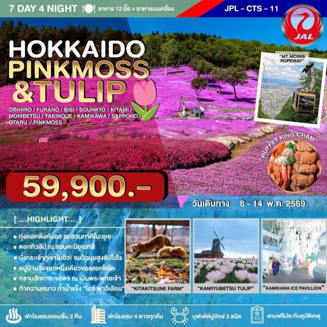 โอบิฮิโระ บิเอะ ซัปโปโร หมู่บ้านนิงเกิ้ลเทอร์เรซ (Ningle Terrace)ㆍบ่อน้ำสีฟ้าใส (Shirogane Blue Pond)ㆍทุ่งดอกทิวลิปสวนคะมิยูเบทสึ (Kamiyubetsu Tulip Park)ㆍคลองโอตารุ (Otaru Canal)ㆍนั่งกระเช้าภูเขาไฟโมอิวะ (Mt. Moiwa Ropeway) #เที่ยวเต็มไม่มีวันอิสระ