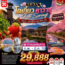 ทัวร์ญี่ปุ่น บุฟเฟต์สวนสตอเบอร์รี่ (StrawberryFarmBuffet) ㆍ หมู่บ้านโอชิโนะฮัคไค (OshinoHakkai) ㆍ ออนเซ็นและขาปูยักษ์ (OnsenAndGiantCrab) ㆍ พิธีชงชาญี่ปุ่น (JapaneseTeaCeremony) ㆍ ชมซากุระเมืองคาวาสึ (KawazuSakuraViewing) ㆍ ขึ้นกระเช้าโอมุโระ (OmuroGondola) ㆍ อิออนมอลล์นาริตะ (AeonMallNarita) ㆍ ศาลเจ้าฮิเอะ (HieShrine) ㆍ โทโยสุเซนเคียคุบันไร (ToyosuSenkyakuBanrai) ㆍ ชมแมวยักษ์3มิติ (3DGiantCat) ㆍ ช้อปปิ้งย่านชินจูกุ (ShinjukuShopping)#เที่ยวเต็มไม่มีวันอิสระ