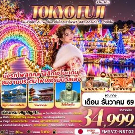 ทัวร์ญี่ปุ่น วัดพระใหญ่โคโตคุอิน(Kotoku-in Temple)-นั่งรถไฟท้องถิ่น(Local Train)-เกาะเอโนะชิมะ(Enoshima Island)-ศาลเจ้าเอโนะชิมะ(Enoshima Shrine)-ถนนเบ็นไซเท็นนากามิเสะ(Benzaiten Nakamise Street)-หมู่บ้านโอชิโนะฮัคไค(Oshino Hakkai)-ศูนย์จำลองแผ่นดินไหว(Earthquake Simulation Center)-วัดอาซากุสะ(Asakusa Temple)-ตลาดโทโยสุเซนเคียคุบันไร(Toyosu Senkyaku Banrai)-งานประดับไฟหมู่บ้านเยอรมันวิลเลจ(Tokyo German Village Illumination)-โตเกียวดิสนีย์แลนด์(Tokyo Disneyland)#มีวันอิสระ