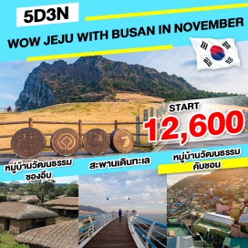 ทัวร์เกาหลี ทุ่งดอกหญ้า แซ พยอล โอรึม - พิพิธภัณฑ์ชาโอซุลลอค - สวนส้มไร้เมล็ด - ภูเขาซองอัค - วัดซันบังซา - ร้านน้ำมันสน - ชมดอกหญ้าสีชมพู พิงค์มูลลี่ - หมู่บ้านวัฒนธรรมซองอึบ - ซอพจิโกจิ - ยอดเขา ซองซาน อิลจุลบง   ชายหาดวอลจองรี - หมู่บ้านวัฒนธรรมคัมชอน - สะพานเดินทะเล - นั่งกระเช้าลอยฟ้า – ศูนย์โสม  - เอเปค เฮ้าส์ - ล็อตเต้ พรีเมี่ยม เอาท์เลท  - ล๊อตเต้ ดิวตี้ฟรี - ปูซานทาวเวอร์  - ถนนช้อปปิ้ง นัมโพดง - ร้านค้าสมุนไพร+ร้านละลายเงินวอน - ศูนย์เครื่องสำอางค์