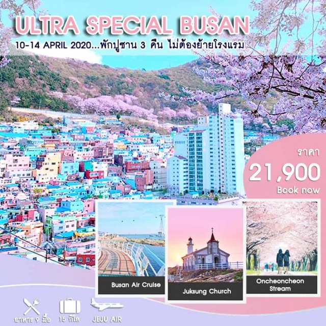 ปูซาน หมู่บ้านวัฒนธรรมคัมชอน สวนยงดูซาน & หอคอยปูซาน นั่งกระเช้าลอยฟ้า 