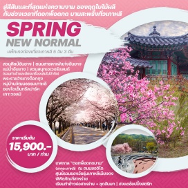 ทัวร์ เช็คอินที่เที่ยวไฮไลท์ ชมเทศกาล ดอกพ็อดกดบาน หรือ ซากุระเกาหลี