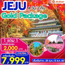 ทัวร์ วัดยักชอนซา คามิลเลีย ฮิลล์ สวนส้ม ศูนย์น้ำมันสนเข็มแดง ภูเขาไฟซองซาน อิลจุลบง  ชายหาดโขดหิน ควังชีกี หมู่บ้านวัฒนธรรมซองอึบ
ชายหาดวอลจองรี วัดชอนวังซา ศูนย์เซซ่าลิฟวิ่ง และศูนย์เครื่องสำอาง ถนนสายรุ้งเชจู
ซุปเปอร์มาร์เก็ต ละลายเงินวอน LOTTE DUTY FREE ช้อปปิ้งในดาวน์ทาวน์