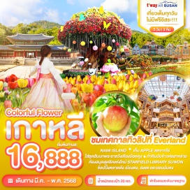 ทัวร์เกาหลี <p><strong>Day 1 : </strong>กรุงเทพฯ (สนามบินสุวรรณภูมิ)<br /><strong>Day 2 : </strong>ท่าอากาศยานนานาชาติอินชอน –เกาะนามิ - ปั่นจักรยานเรียลไบท์ - เข้าโซล<br /><strong>Day 3 : </strong>Apple Farm - Star field Library Suwon - สวนสนุกเอเวอร์แลนด์ – โซล - COSMETIC SHOP - ย่านฮงแด ย่านยอนนัมดง <br /><strong>Day 4 :</strong> ศูนย์โสมรัฐบาล - ศูนย์น้ำมันสนเข็มแดง (Red Pine) -  ใส่ชุดฮันบกถ่ายรูปที่พระราชวังเคียงบ๊อค –  หมู่บ้านบุกชอนฮันบก - Shinsegae Duty Free- ช้อปปิ้งย่านเมียงดง<br /><strong>Day 5 : </strong>ฮอกเกตนามู – Amethyst  - โรงงานสาหร่าย+กิจกรรมทำคิมบับ-  ซุปเปอร์มาเก็ตละลายเงินวอน -   สนามบินอินชอน-กรุงเทพฯ                                                                  <strong><br /></strong></p>
<p style='text-align: center;'><strong>---อ่านรายละเอียดเพิ่มเติม---</strong></p>