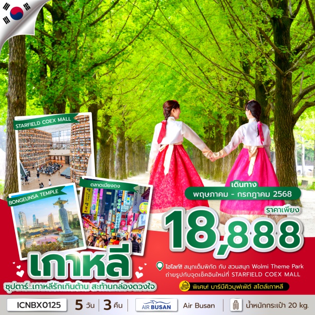 เกาะนามิ ฮอกเกนามู โซล - ตะลอน เกาะนามิ หนึ่งในแลนด์มาร์คฮิตตลอดกาลเกาหลี!
- ถ่ายรูปกับจุดเช็คอินใหม่ที่ STARFIELD COEX MALL
- ช็อปปิ้งจุกๆกับสองย่านดังเกาหลี ตลาดเมียงดง และถนนฮงแด#มีวันอิสระ