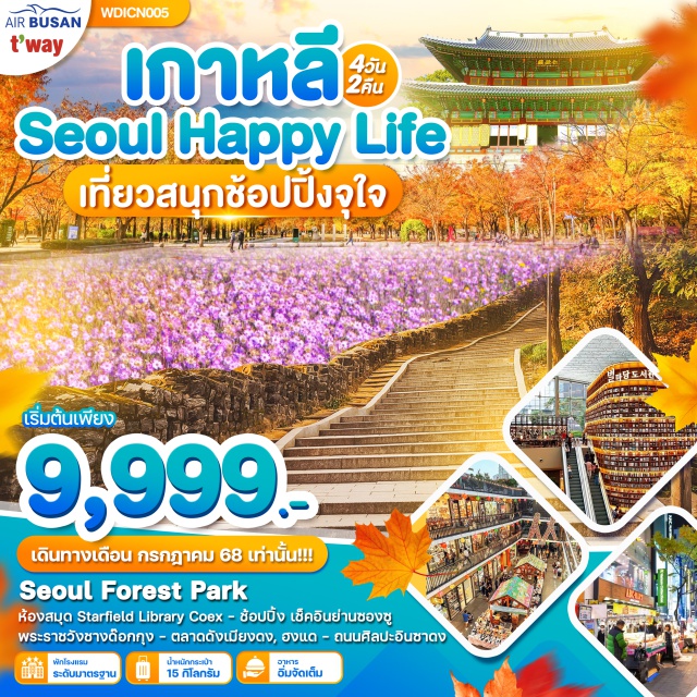 โซล อินซาดง เมียงดง Seoul Forest Park
ห้องสมุด Starfield Library Coex - ช้อปปิ้ง เช็คอินย่านซองซู
พระราชวังชางด๊อกกุง - ตลาดดังเมียงดง, ฮงแด - ถนนศิลปะอินซาดง