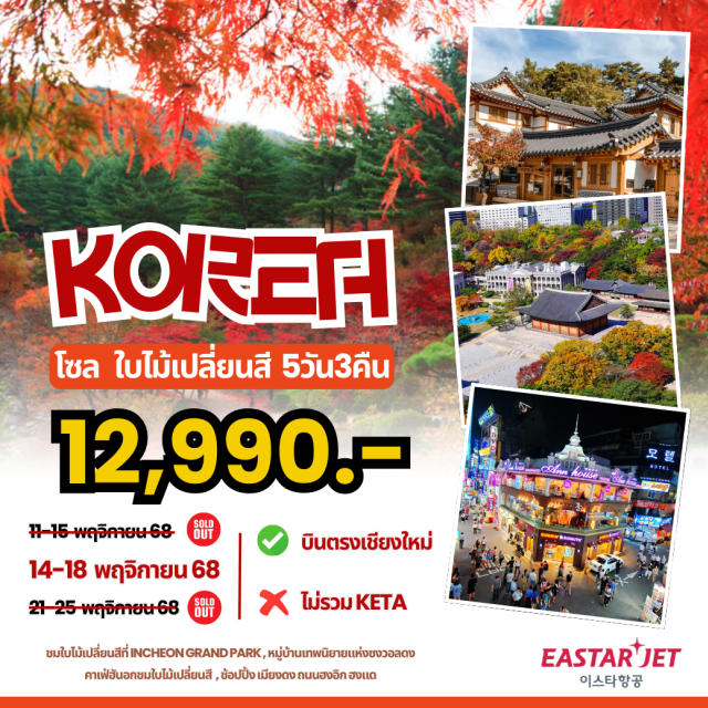 บินตรงเชียงใหม่ โซล ถนนฮงอิก ฮงแด ขนใบไม้เปลี่ยนสีที่ INCHEON GRAND PARK, หมู่บ้านเทพนัยายแห่งงงงขงงลอง>
คาเฟฮันอกชมใบไม้เปลี่ยนสี , ข้อปปิ้ง เมียงดง ถนนฮงอิก ฮงแด