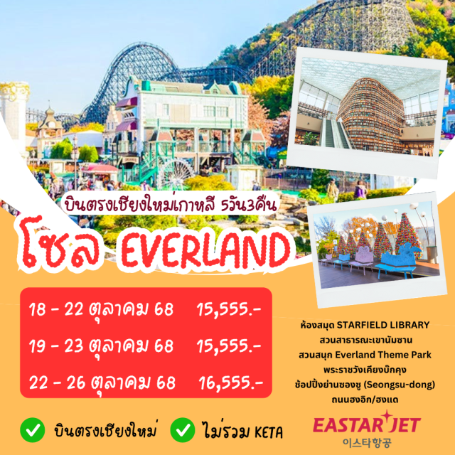 โซล ย่านซองซู ถนนฮงอิก/ฮงแด ห้องสมุด STARFIELD LIBRARY
สวนสาธารณะเขานัมซาน
สวนสนุก Everland Theme Park
พระราชวังเคียงบ๊กคุง
ช้อปปิ้งย่านซองซู (Seongsu-dong)
ถนนฮงอิก/ฮงแด