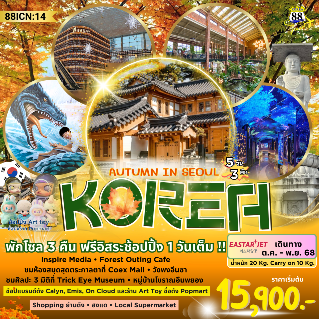 โซล ฮงแด วัดพงอึนซา -ชม LED สุดอลังการ ที่ Inspire Media  •  จิบกาแฟคาเฟ่สไตล์โมเดิร์น  Forest outing ห้องสมุด Starfield Coex • ไหว้พระพุทธรูปองค์ใหญ่ที่สุดในเกาหลี วัดพงอึนซา
-สนุกกับการถ่ายรูป 3D Trick Eye Museum • ชมหมู่บ้านโบราณอึนพยอง
- ช้อปปิ้งย่านดัง! ฮงแด • Local Supermarket
#มีวันอิสระ
