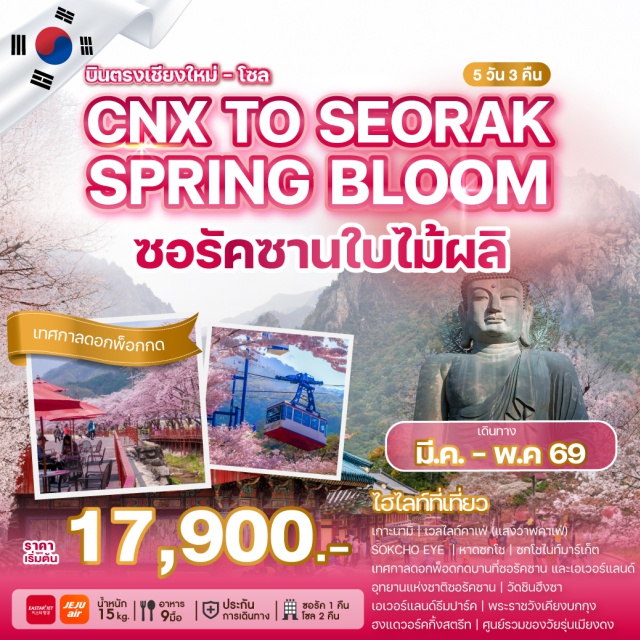 บินตรงเชียงใหม่ โซล เกาะนามิ พระราชวังเคียงบกกุง เกาะนามิ (Nami Island)ㆍเวลไลท์คาเฟ่ / แสงวาฬคาเฟ่ (Whale Light Café)ㆍSokcho Eyeㆍหาดซกโช (Sokcho Beach)ㆍซกโชไนท์มาร์เก็ต (Sokcho Night Market)ㆍเทศกาลดอกพ็อดกด (Podkeot Festival) ที่ซอรัคㆍอุทยานแห่งชาติซอรัคซาน (Seoraksan National Park)ㆍวัดชินฮึงซา (Sinheungsa Temple)ㆍเอเวอร์แลนด์ธีมปาร์ค (Everland Theme Park)ㆍศูนย์เวชสำอางㆍฮงแดวอร์คกิ้งสตรีท (Hongdae Walking Street)ㆍพระราชวังเคียงบกกุง (Gyeongbokgung Palace)ㆍศูนย์สมุนไพรเพื่อสุขภาพㆍDuty Freeㆍเมียงดง (Myeongdong)ㆍพิพิธภัณฑ์สาหร่าย (Seaweed Museum)ㆍเรียนทำข้าวห่อสาหร่าย (Kimbap Making)ㆍใส่ชุดฮันบก (Hanbok Experience)ㆍศูนย์แอเมทิสต์ (Amethyst Center)ㆍKorean Supermarket