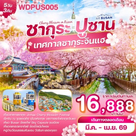 ทัวร์เกาหลี <p><strong>Day 1 : </strong>ท่าอากาศยานนานาชาติสุวรรณภูมิ<strong><br /></strong><strong>Day 2 :</strong> ท่าอากาศยานนานาชาติกิมแฮ &ndash; เมืองจินแฮ - เทศกาลจินแฮกุนฮังเจ &nbsp;&ndash; ชมอุโมงค์ซากุระ - ทางรถไฟดอกซากุระ -ขึ้นโมโนเรล ไปชมวิวบนปูซานมิวเซียม &ndash; ถ่ายรูปกับสวนสาธารณะ &ldquo;อนชอนชอน&rdquo; ถ่ายรูปชิคๆ กับ THE BAY 101&nbsp;&nbsp;&nbsp;&nbsp;&nbsp;&nbsp;&nbsp;&nbsp;<br /><strong>Day 3 : </strong>ศูนย์รวมเครื่องสำอางแบรนด์ดัง -นั่งรถไฟมินิ &ldquo;สกาย แคปซูล&rdquo; ( SKY CAPSULE ) &ndash; ช้อปปิ้งล็อตเต้ พรีเมี่ยม เอาท์เล็ท - วัดแฮดงยงกุงซา &ndash; เดินเล่นตลาดแฮอึนแด &nbsp;&nbsp;<strong><br /></strong><strong>Day 4 :</strong> ศูนย์โสม-ศูนย์สมุนไพร Hogaenamu-ร้านสมุนไพร Red Pine &ndash; CORALANI CAF&Eacute;-Duty Free ซองโด สกายวอร์ค - ปูซาน ทาวเวอร์ &ndash; ตลาดนัมโพดง - ตลาดปลาจากัลชี &nbsp;&nbsp;<strong><br /></strong><strong>Day 5 :</strong> Local Super Market &ndash; หมู่บ้านวัฒนธรรมคัมชอน &ndash;สวนสาธารณะ Samnak Ecological Park-ท่าอากาศยานนานาชาติกิมแฮ &ndash; ท่าอากาศยานนานาชาติสุวรรณภูมิ&nbsp;</p>
<p style='text-align: center;'><strong>---อ่านรายละเอียดเพิ่มเติม---</strong></p>