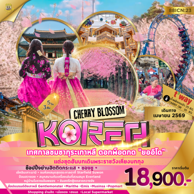 อินชอน นามิ โซล เกาะนามิ (Nami Island) ㆍ ห้องสมุดสตาร์ฟิลด์ซูวอน (Starfield Suwon Library) ㆍ สวนสนุกเอเวอร์แลนด์ (Everland) ㆍ พระราชวังเคียงบกกุง (Gyeongbokgung Palace) ㆍ ช้อปปิ้งย่านเมียงดง (Myeongdong) #เที่ยวเต็มไม่มีวันอิสระ