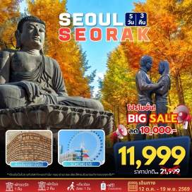 ทัวร์เกาหลี โซล (Seoul)ㆍเกาะนามิ (Nami Island)ㆍชิงช้าสวรรค์ซกโชอาย (Sokcho Eye)ㆍอุทยานแห่งชาติซอรัคซาน (Seoraksan National Park)ㆍห้องสมุดสตาร์ฟิลด์ ห้างโคเอ็กซ์ (Starfield Library, COEX Mall)  #มีวันอิสระ