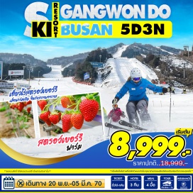ทัวร์เกาหลี ปูซาน (Busan)ㆍไร่สตรอว์เบอร์รี่ (Strawberry Farm)ㆍลานสกี (Ski Resort)ㆍชายหาดแฮอุนแด (Haeundae Beach)ㆍแฮอุนแดไนท์มาเก็ต (Haeundae Night Market)  #มีวันอิสระ