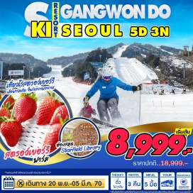 ทัวร์เกาหลี โซล (Seoul)ㆍไร่สตรอว์เบอร์รี่ (Strawberry Farm)ㆍลานสกี (Ski Resort)ㆍห้องสมุดสตาร์ฟิลด์ (Starfield Library)  #มีวันอิสระ