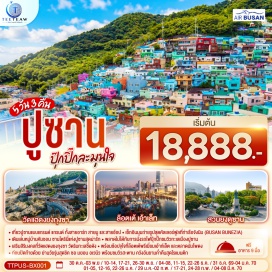 ทัวร์เกาหลี ท่าเรือจังนิม (Jangnim Harbor) ㆍ หมู่บ้านวัฒนธรรมคัมชอน (Gamcheon Culture Village) ㆍ ซงโดสกายวอล์ค (Songdo Skywalk) ㆍ สวนสาธารณะยงดูซาน (Yongdusan Park) ㆍ ปูซานทาวเวอร์ (Busan Tower) ㆍ ตลาดนัมโพดง (Nampo-dong Market) ㆍ ตลาดปลาจากัลซี (Jagalchi Fish Market) ㆍ สถานที่จัดงานเทศกาลภาพยนตร์นานาชาติเมืองปูซาน (BIFF Square) ㆍ วัดแฮดง ยงกุงซา (Haedong Yonggungsa Temple) ㆍ คาเฟ่ (GODSHOTT Cafe) ㆍ ล็อตเต้ พรีเมียม เอาท์เล็ต (Lotte Premium Outlet) ㆍ สะพานกวังอัน (Gwangan Bridge) ㆍ รถไฟสกายแคปซูล (Sky Capsule) ㆍ ชายหาดแฮอุนแด (Haeundae Beach) ㆍ ตลาดแฮอุนแด (Haeundae Market) ㆍ ย่านซอมยอน (Seomyeon Street) ㆍ พิพิธภัณฑ์วัฒนธรรมแฮนยอแห่งยองโด (Yeongdo Haenyeo Cultural Museum) ㆍ อุโมงค์ไวน์ปูซาน (Busan Wine Cave)  #เที่ยวเต็มไม่มีวันอิสระ