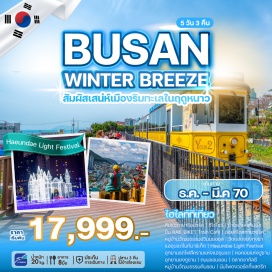 ทัวร์เกาหลี กิมแฮกายาธีมปาร์ค (Gimhae Gaya Theme Park) ㆍ ฮีโร่โชว์ (Hero Show) ㆍ ถ้ำไวน์แห่งกิมแฮ (Gimhae Wine Cave) ㆍ ปั่นเรลไบค์ (Rail Bike) ㆍ แม่น้ำนักดง (Nakdong River) ㆍ เทรนคาเฟ่ (Train Café) ㆍ หมู่บ้านวัฒนธรรมฮวินนยออุล (Huinnyeoul Culture Village) ㆍ ออยุคโดสกายวอร์ค (Oryukdo Skywalk) ㆍ วัดแฮดงยงกุงซา (Haedong Yonggungsa Temple) ㆍ แฮอุนแดไนท์มาร์เก็ต (Haeundae Night Market) ㆍ เทศกาลแสงไฟแฮอุนแด (Haeundae Light Festival) ㆍ อุทยานรถไฟสีครามแห่งแฮอุนแด (Haeundae Blueline Park) ㆍ หอคอยแห่งปูซาน (Busan Tower) ㆍ อุทยานยงดูซาน (Yongdusan Park) ㆍ ถนนวัยรุ่นซอมยอน (Seomyeon Street) ㆍ ตลาดอาหารทะเลจากัลชี (Jagalchi Fish Market) ㆍ หมู่บ้านวัฒนธรรมคัมชอน (Gamcheon Culture Village) ㆍ พิพิธภัณฑ์สาหร่าย (Seaweed Museum) ㆍ เรียนทำข้าวห่อสาหร่าย (Gimbap Making Class) ㆍ ชุดฮันบก (Hanbok Experience) ㆍ นัมโพดงวอร์คกิ้งสตรีท (Nampo-dong Walking Street) #เที่ยวเต็มไม่มีวันอิสระ #ไหว้พระ