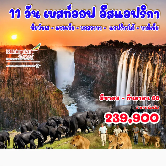 ซิมบับเว แซมเบีย บอสวานา ซิมบับเว (พักค้าง 2 คืน) – ล่องเรือชมพระอาทิตย์ตก – น้ำตกวิคตอเรีย (ซิมบับเว) – บอสวานา
โชเบ้ - ล่องเรือแม่น้ำซิมเบซี – Game Drive  – ลิฟวิ่งสโตน (แซมเบีย) – น้ำตกวิคตอเรียฝั่งแซมเบีย  
“ขึ้นเฮลิคอปเตอร์ชมน้ำตกวิคตอเรีย – พิเศษกิจกรรม Walk with Lion” วินด์ฮุก (นามิเบีย ) – 4WD ทะเลทรายนามิบ – สวาคัมมุนด์ – หุบเขาพระจันทร์ – วาลวิสเบย์ – ล่องเรือสู่เกาะแมวน้ำ