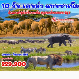 ทัวร์เคนยา <p><strong>Day 1 : </strong>กรุงเทพมหานคร<br /><strong>Day 2 : </strong>เคนย่า &ndash; ไนโรบี &ndash; อุทยานแห่งชาติอัมโบเซลี (เที่ยวบินภายใน)<br /><strong>Day 3 : </strong>ข้ามพรมแดนแทนซาเนีย &ndash; อารุชา &ndash; ทะเลสาบแมนยารา <br /><strong>Day 4 :</strong> ภูเขาไฟโกรงโกโร &ndash; เกมส์ไดร์ฟ &ndash; อุทยานแห่งชาติเซเรงเกติ (พักค้าง 2 คืน)<br /><strong>Day 5 :</strong> อุทยานแห่งชาติเซเรงเกติ &ndash; The Great Migration<strong><br />Day 6 :</strong> เซเรงเกติ - มาไซมารา<br /><strong>Day 7 :</strong> มาไซมารา <br /><strong>Day 8 : </strong>ทะเลสาบนากูรู (ชมทะเลสาบแห่งนกฟลามิงโก้)<strong><br />Day 9 :</strong> มาไซมารา &ndash; ไนโรบี &ndash; กรุงเทพ<strong><br />Day 10 :</strong> กรุงเทพฯ<strong><br /></strong></p>
<p style='text-align: center;'><strong>---อ่านรายละเอียดเพิ่มเติม---</strong></p>