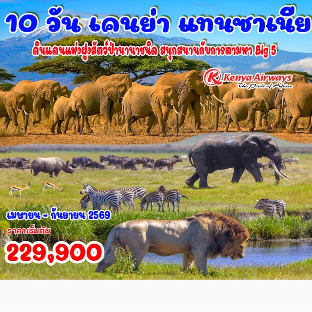 ไนโรบี เซเรงเกติ มาไซมารา อุทยานอัมโบเซลี (Amboseli National Park)ㆍภูเขาไฟโกรงโกโร (Ngorongoro Crater)ㆍThe Great Migration แห่ง เซเรงเกติ (Serengeti National Park)ㆍเขตอนุรักษ์มาไซมารา (Masai Mara Reserve)ㆍทะเลสาบนากูรู (Lake Nakuru) #เที่ยวเต็มไม่มีวันอิสระ