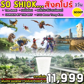 ทัวร์สิงคโปร์ สิงคโปร์ – น้ำพุแห่งความมั่งคั่ง - GARDEN BY THE BAY - มารีน่า เบย์ แซนด์
เลือกเที่ยวตาม Option ที่ต้องการ
Option A: Free & Easy (อิสระไม่มีรถและไกด์บริการ) (B/-/-)
Option B: UNIVERSAL STUDIO (รวมค่าบัตร) + ชมแสงสีย่าน Clarke Quay 
ซิตี้ทัวร์ เมอไลอ้อน - Duty Free Shop – วัดพระเขี้ยวแก้ว ย่านไชน่าทาวน์ – 
ช้อปปิ้ง ORCHARD