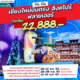 ทัวร์สิงคโปร์ ชมวิวเกาะสิงคโปร์ SINGAPORE FLYER | ชมสวน GARDEN BY THE BAY (รวมเข้าชม 2 โดม)
สวนสนุกยูนิเวอร์แซล สตูดิโอ (ไม่รวมค่าเข้า) | มารีน่า เบย์ แซนด์ | ช้อปปิ้งถนนออร์ชาร์ด