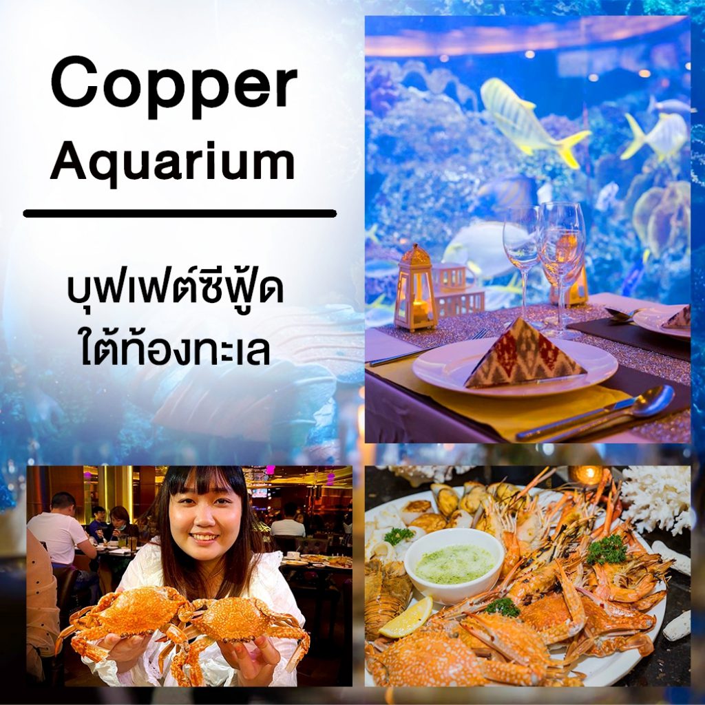Copper Aquarium Restaurant บุฟเฟต์ใต้ทะเล