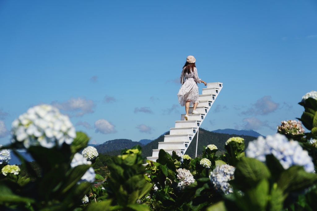 ผู้หญิงสวมเดรสขาวยืนอยู่บนบันไดสีขาวกลางทุ่งดอกไฮเดรนเยียสีม่วงอ่อน